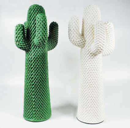 Coppia cactus_MsWS3uEThbEd.jpg